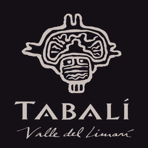 Logotipo Vinã Tabali